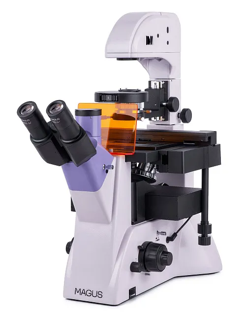 foto MAGUS Lum V500L Floresan İnverted Mikroskop,  1