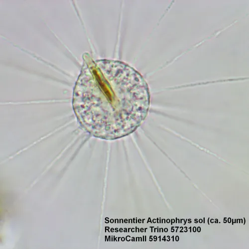 foto Bresser Researcher Trino 40–1000x Microscope,  15