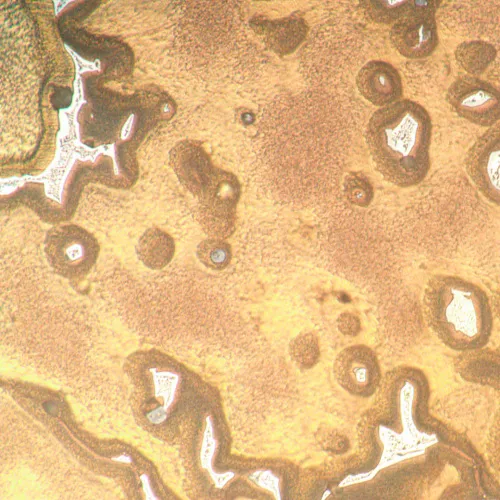 foto MAGUS Metal V790 DIC Metalurji İnverted Mikroskop,  12