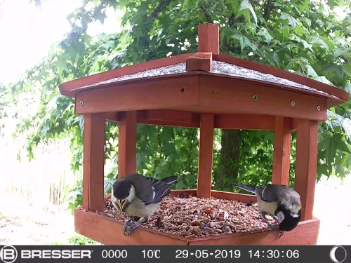 foto Bresser 90° Wildlife Observation 16MP Camera,  6