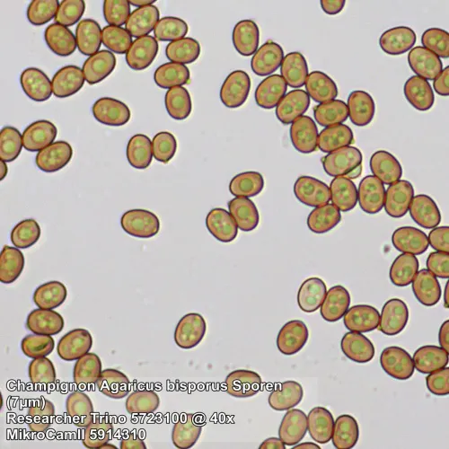 foto Bresser Researcher Trino 40–1000x Microscope,  13