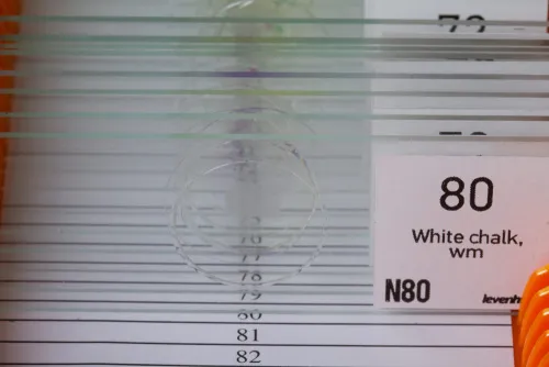 resim Levenhuk N80 NG “Her şeyi görün” Slayt Seti,  4