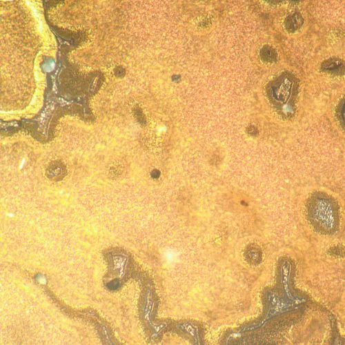foto MAGUS Metal V790 DIC Metalurji İnverted Mikroskop,  21