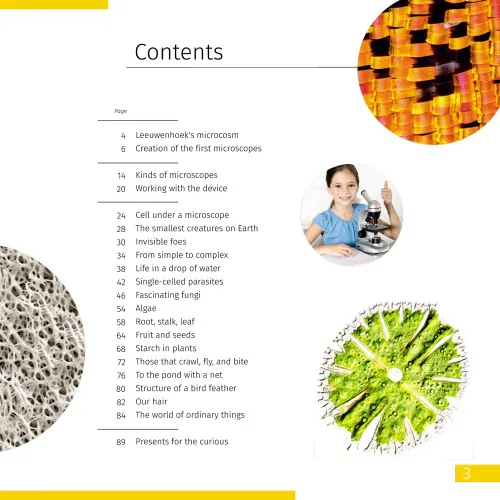 resim Görünmez Dünya. Bilgilendirici kitap. Ciltli kapak,  2