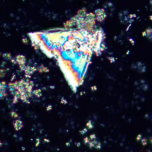 fotoğraf MAGUS Pol 850 Polarize Mikroskop,  21