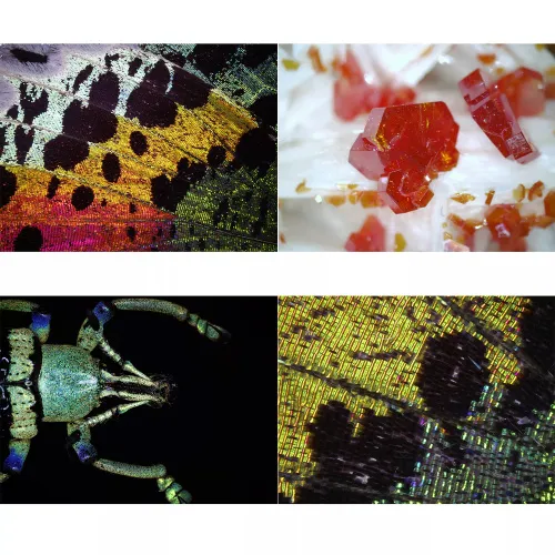 foto Bresser DST1028 USB Digital Microscope,  4