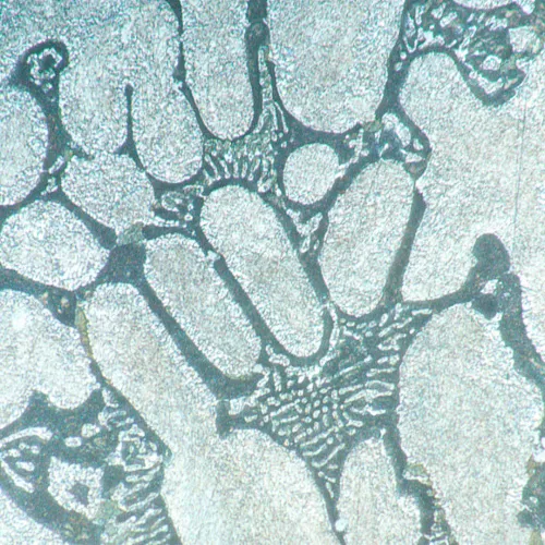 resim MAGUS Metal V700 Metalurji İnverted Mikroskop,  16