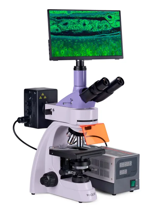fotoğraf MAGUS Lum D400 LCD Floresan Dijital Mikroskop,  4