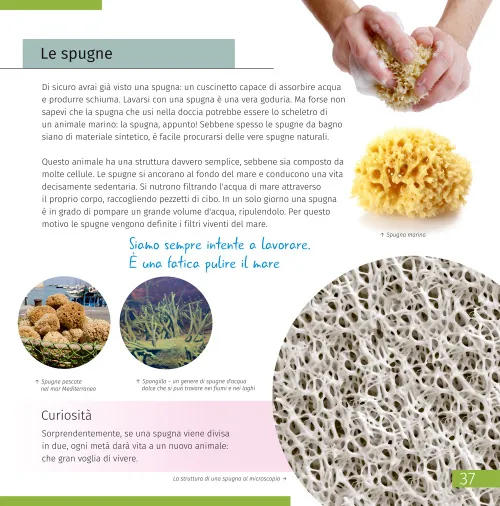 fotoğraf Uzay. Mikro Dünya. 2 cilt Bilgilendirici Kitap,  8