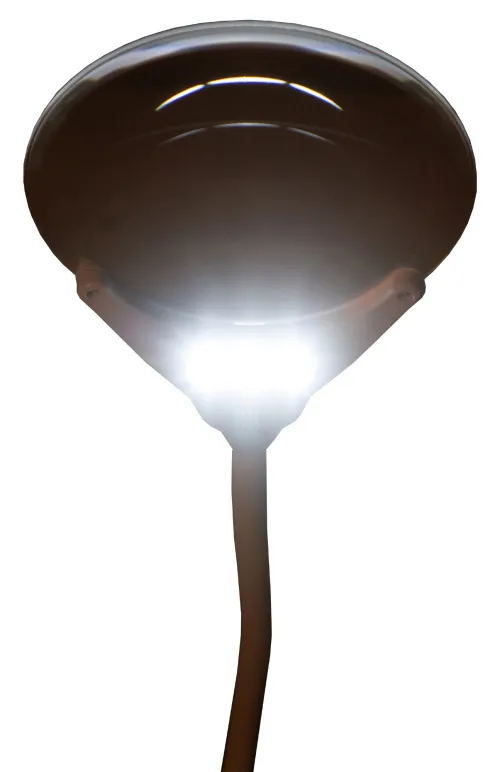 foto Levenhuk Zeno Lamp ZL7 Büyüteç,  11