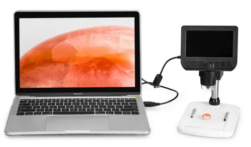 resim Levenhuk DTX 350 LCD Dijital Mikroskop,  14