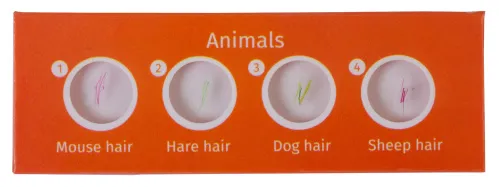 görüntü Levenhuk LabZZ CP24 Canlılar ve Bitkiler Hazırlanmış Slayt Seti,  2