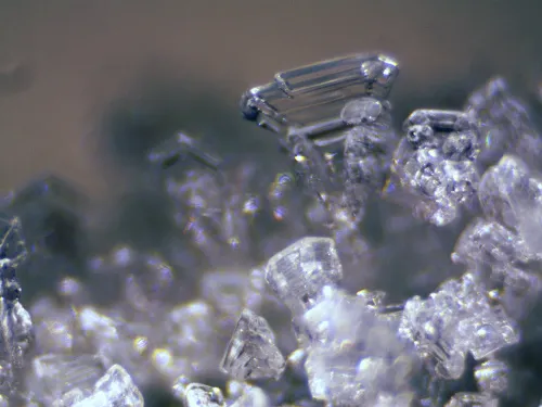 foto Bresser Erudit ICD Stereo Microscope,  12