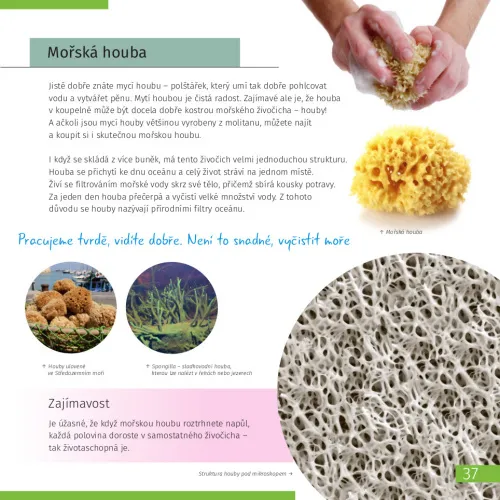 fotoğraf Uzay. Mikro Dünya. 2 cilt Bilgilendirici Kitap,  7