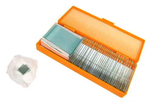 görüntü Levenhuk N38 NG Hazırlanmış Slayt Seti,  3