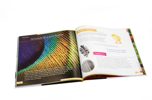 resim Görünmez Dünya. Bilgilendirici kitap. Ciltli kapak,  10