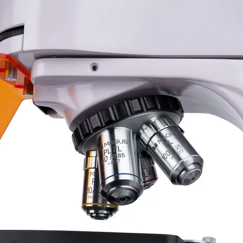 fotoğraf MAGUS Lum D400L Floresan Dijital Mikroskop,  13