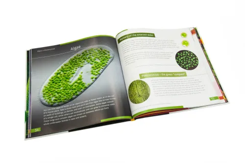 resim Görünmez Dünya. Bilgilendirici kitap. Ciltli kapak,  9