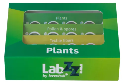 resim Levenhuk LabZZ P12 Bitkiler Hazırlanmış Slayt Seti,  8