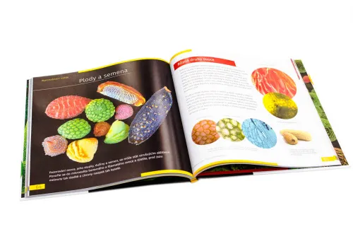 resim Görünmez Dünya. Bilgilendirici kitap. Ciltli kapak,  10