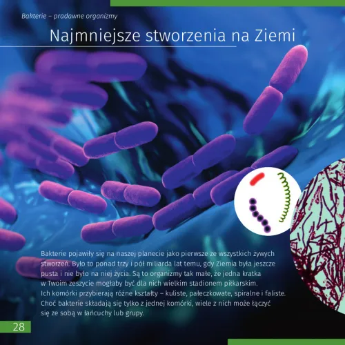 görüntü Uzay. Mikro dünya. Bilgilendirici kitap (iki ciltli sürüm). Ciltli kapak,  9