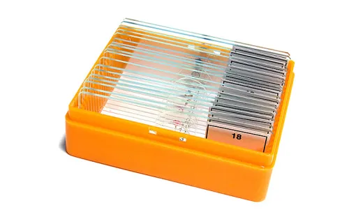 fotoğraf Levenhuk N18 NG Hazırlanmış Slayt Seti,  5