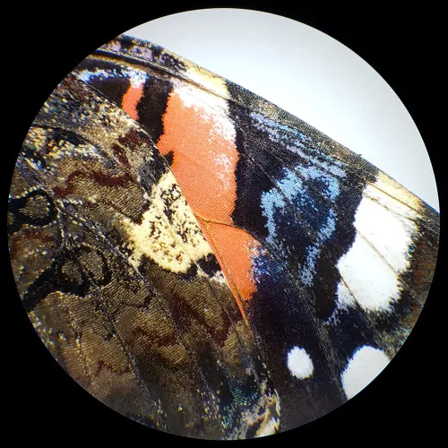 resim Bresser Analyth STR 10x - 40x stereo microscope,  6