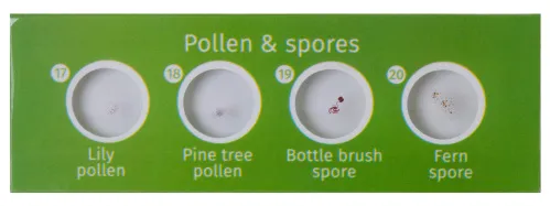 görüntü Levenhuk LabZZ CP24 Canlılar ve Bitkiler Hazırlanmış Slayt Seti,  6