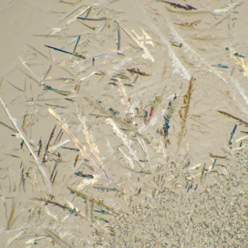 fotoğraf MAGUS Bio 230B Biyoloji Mikroskobu,  23