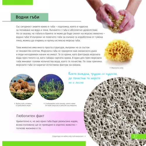 fotoğraf Uzay. Mikro Dünya. 2 cilt Bilgilendirici Kitap,  8