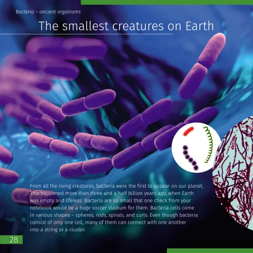 resim Görünmez Dünya. Bilgilendirici kitap. Ciltli kapak,  5