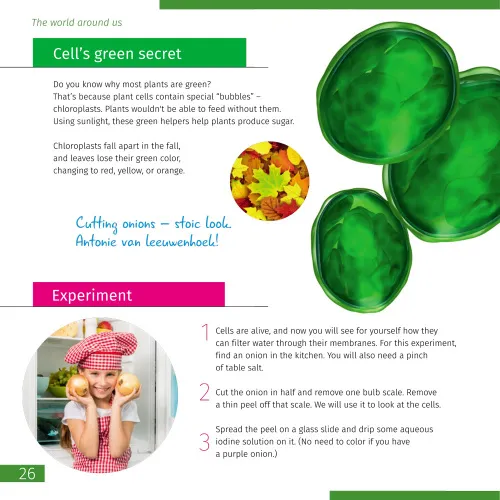 resim Görünmez Dünya. Bilgilendirici kitap. Ciltli kapak,  4