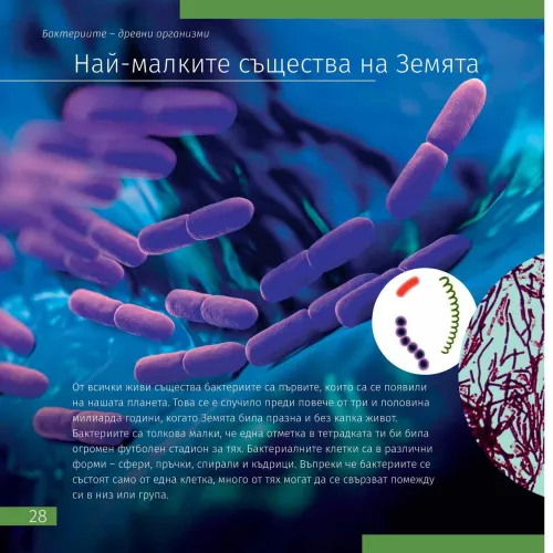 fotoğraf Uzay. Mikro Dünya. 2 cilt Bilgilendirici Kitap,  10