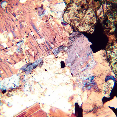 fotoğraf MAGUS Pol D800 Polarize Dijital Mikroskop,  20