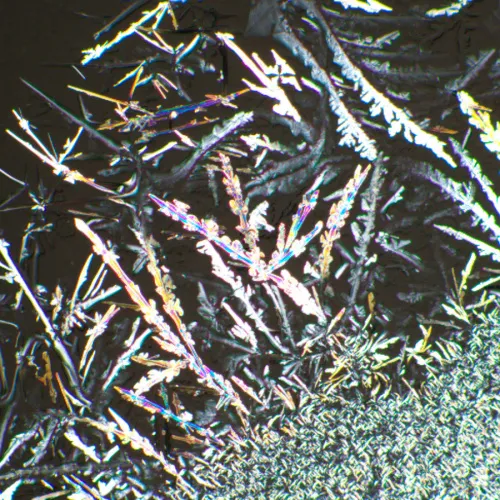 foto MAGUS SPD1 Polarizör/Analizör Seti,  6