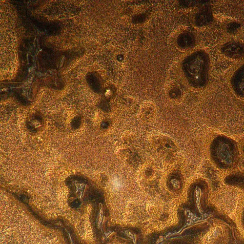 foto MAGUS Metal V790 DIC Metalurji İnverted Mikroskop,  19