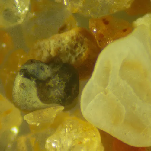 görüntü MAGUS Stereo D9T LCD Stereomikroskop Dijital ,  27