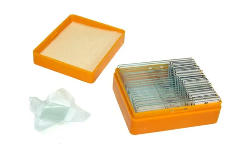 fotoğraf Levenhuk N20 NG Hazırlanmış Slayt Seti,  3