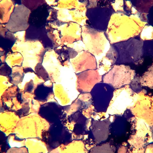 fotoğraf MAGUS Pol D800 Polarize Dijital Mikroskop,  22