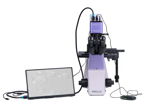 resim MAGUS Bio VD300 LCD Biyoloji İnverted Dijital Mikroskop,  6