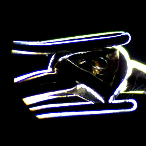 resim MAGUS Stereo 7B Stereomikroskop,  18